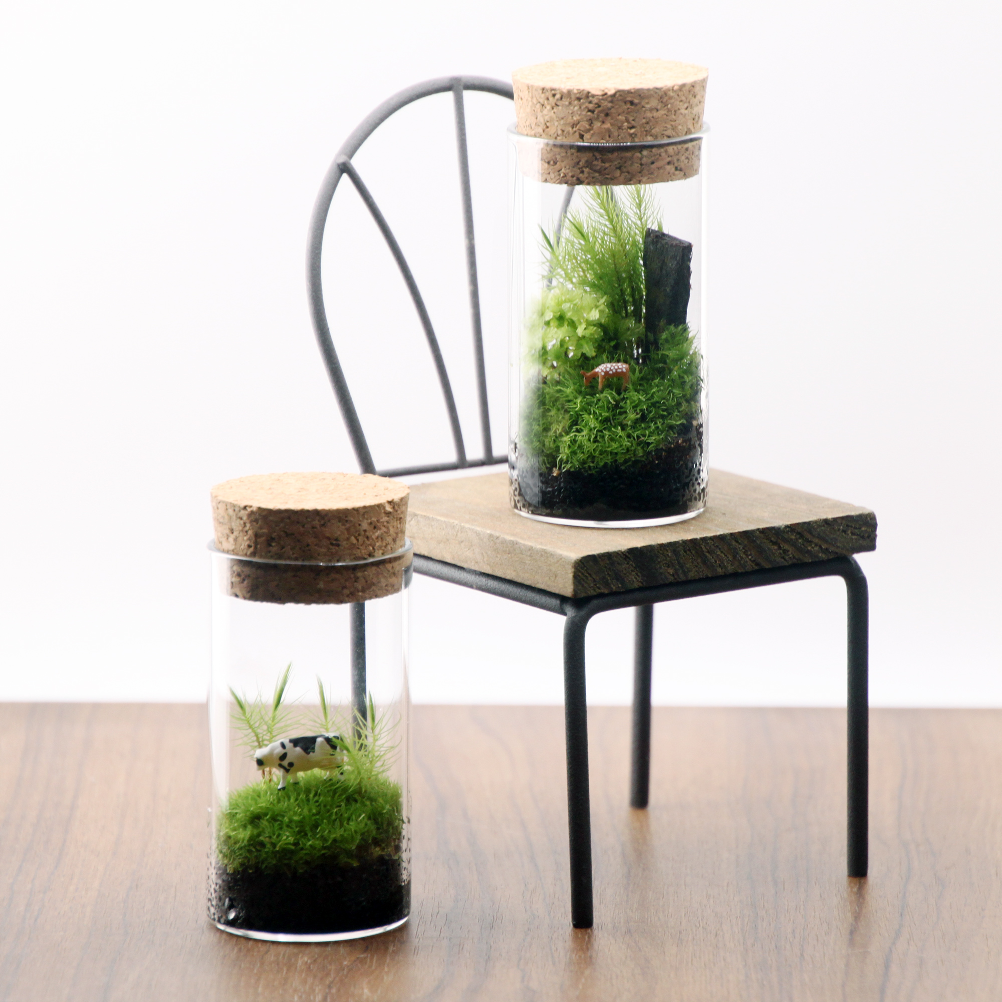 苔テラリウム２個セット のどかな牧場と苔の森